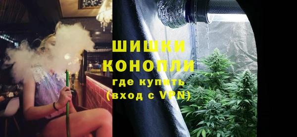первитин Няндома